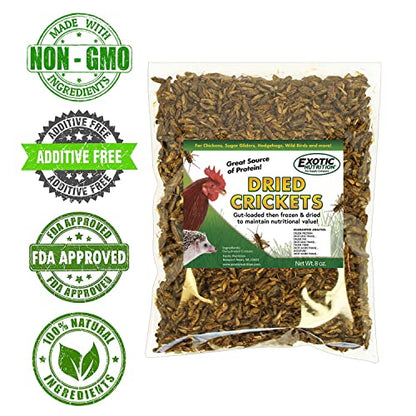 1/2 Pound Dried Crickets - High Protein Insect Treat - Chickens, Wild Birds, Hedgehogs, Bluebirds, Reptiles, Sugar Gliders, Opossums, Skunks, Lizards, Bearded Dragons, Fish, Turtles 8 oz. (1 Pack)