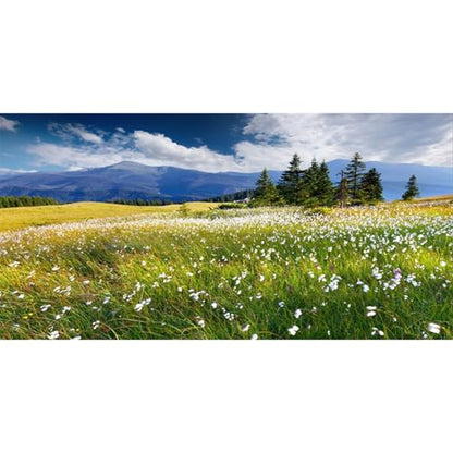 AWERT 30x12 inches Reptile Habitat Background Blue Sky White Clouds Mountains Forests Grasslands White Floral Nature Art Terrarium Background - size: 30x12in/75x30cm