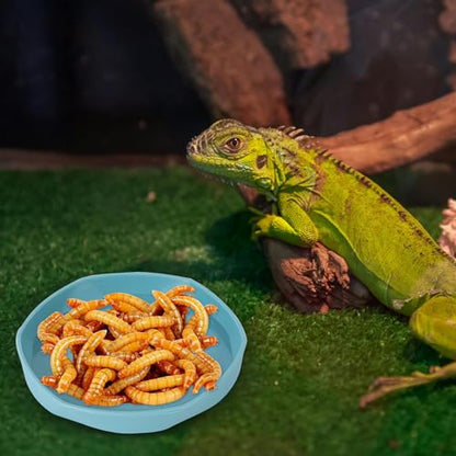 4 Pack Small Reptile Food Dish Bowl, Plastic Worm Water Dish Plate | Reptile Food Bowls for Lizard Gecko Bearded Dragon Chameleon 4" W x 4" D x 0.5" H, Blue and Yellow - color: Blue and Yellow