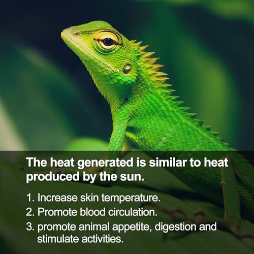 REPTI ZOO Reptile Basking Heat Lamp Bulb, 100W Splashproof Energy Saving Deep Heater Non-Luminous Carbon Infrared Heat Bulb for Reptile Amphibians - style: 100W