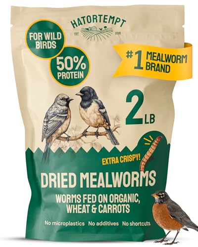 Hatortempt 2lb Mealworms for Wild Birds, Bluebirds & Robins, Bird Food | Attracts Rare Species - Sought After Treat - 2-Year Shelf Life - Resealable Bag - Hand Inspected for No Dust - High Protein - size: 2 Pound (Pack of 1)