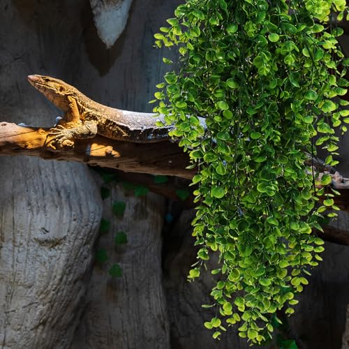8 Pack Reptile Plants Terrarium Hanging Plant Vine Boston Climbing Terrarium Plant with Suction Cup for Bearded Dragons Lizard Crested Gecko Snake Crab Tank(Classic Series,Light Dark Green) - style: Classic Series