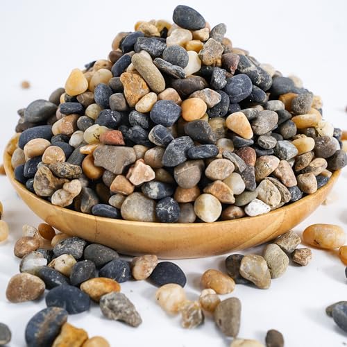 TOYPOPOR 6lbs Natural River Rocks, Succulent Cactus Gravel for Plants, Bonsai Decor Pebbles, Planters Stones, Potting Grit for Gardening, Flower Pots, Vase Fillers, Indoor Water Fountains, Landscaping - color: Pebbles, size: 6 lb