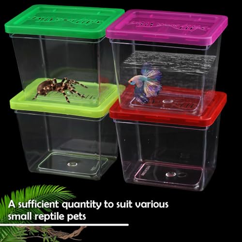 1 Pack Clear Portable Insect Reptile Terrarium Tank with Handle for Spider Snail Turtle Hermit Crab Gecko Insects Small Reptiles (with 10 Pack Small Plastic Reptile Carrier)