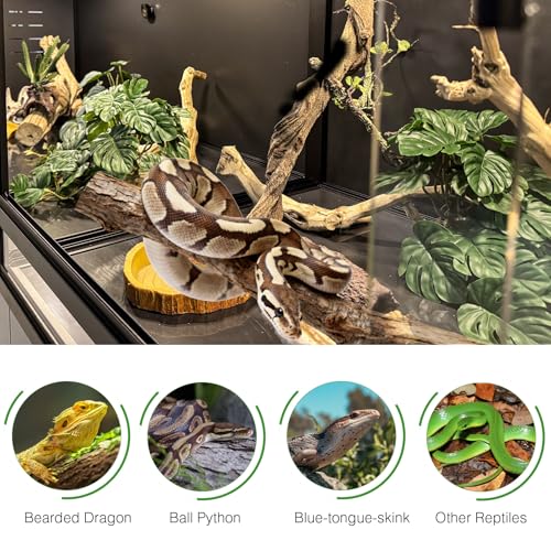 PVC Reptile Enclosure 48"x24"x24" Space Efficient Reptile Terrarium 120 Gallon Large Tank for Bearded Dragon Lizard Snake, Wide Breeding Vivarium Area with Sliding Glass Doors Combination Lock - size: Two 48x24x24''-120 Gallon with Kit