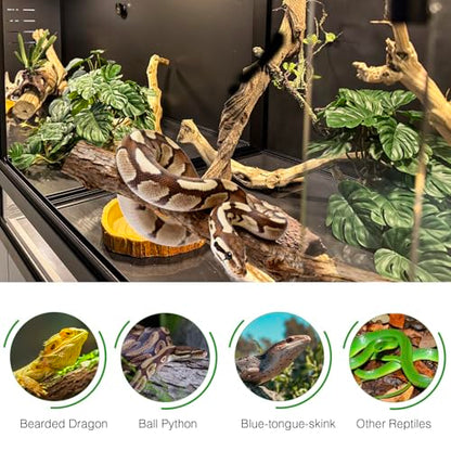 PVC Reptile Enclosure 48"x24"x24" Space Efficient Reptile Terrarium 120 Gallon Large Tank for Bearded Dragon Lizard Snake, Wide Breeding Vivarium Area with Sliding Glass Doors Combination Lock - size: Two 48x24x24''-120 Gallon with Kit