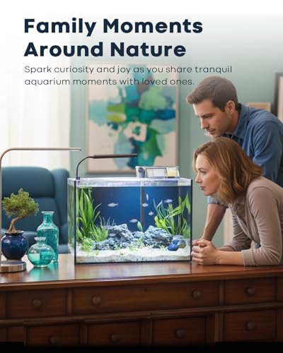10 Gallon Aquarium Set Glass Fish Tank, Heater Self Cleaning System Filter with Media Bright Light Cleaning Tool, Leak-Proof Clear Rimless Betta Tropical Freshwater Fish - size: 10 Gallon