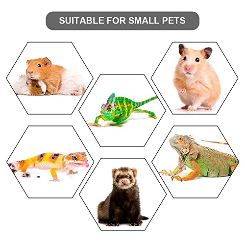 Bearded Dragon Leash, Adjustable Portable Reptile Leash with Cool Wings for Gecko, Bearded Dragon, Iguana, Hamster, Guinea Pig (S+M+L) - color: orange