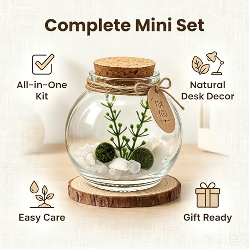 Moss Ball Terrarium Kit – Includes Glass Jar, Cork Lid, Wooden Base, Aquatic Plants, Lucky Clear Quartz & Shells