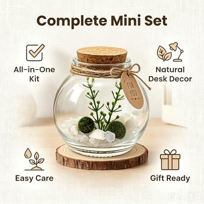 Moss Ball Terrarium Kit – Includes Glass Jar, Cork Lid, Wooden Base, Aquatic Plants, Lucky Clear Quartz & Shells