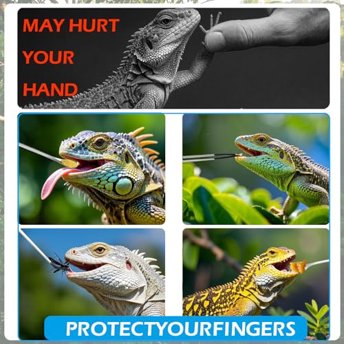 4-Piece Stainless Steel Reptile Feeding Tongs & Spoons Set – Curved/Straight Tweezers,Spoons, Rubber Tips for Bearded Dragons,Aquarium/Terrarium Safe Feeding Tools
