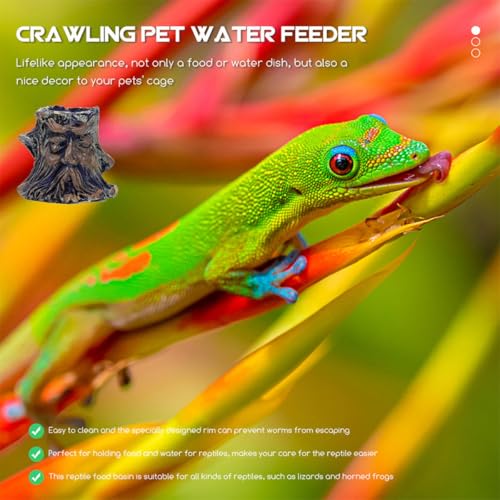 Homoyoyo 6pcs Escape-Proof Reptile Food and Water Bowls Terrarium Feeding Dish Set for Snakes Geckos Tortoises and Hermit Crabs Crawling Pet Feeder for Snake Tank Random Color