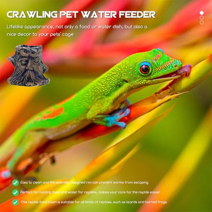 Homoyoyo 6pcs Escape-Proof Reptile Food and Water Bowls Terrarium Feeding Dish Set for Snakes Geckos Tortoises and Hermit Crabs Crawling Pet Feeder for Snake Tank Random Color