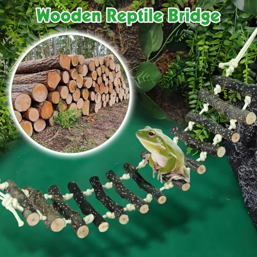 BNOSDM Reptile Climbing Ladder 2 Pcs Gecko Bridge Bearded Dragon Hammock with Suction Cup Wooden Basking Lounger Leopard Gecko Tank Accessories for Lizard, Hermit Crab, Tree Frog, Snake - color: 2pcs-Applewood