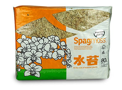 New Zealand Sphagnum Moss (1 kilogram),tan - size: AAA Premier (6" Strands)