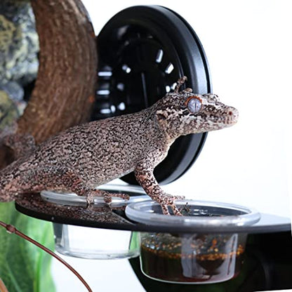 AIICIOO Gecko Feeder Ledge with 6 Pack Plastic Bowls Crested Gecko Food Dish Strong Magnetic Reptile Food Feeder Water Dish for Chameleon Bearded Dragon Tank Accessories - size: Feeding Ledge Black