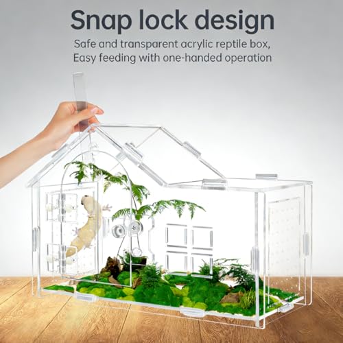 Jumping Spider Enclosure, Acrylic Habitat, 1 Pack | Secure Feeding Port & Ventilation, Ideal Treehouse for Arboreal Spiders, Easy-Clean Terrarium