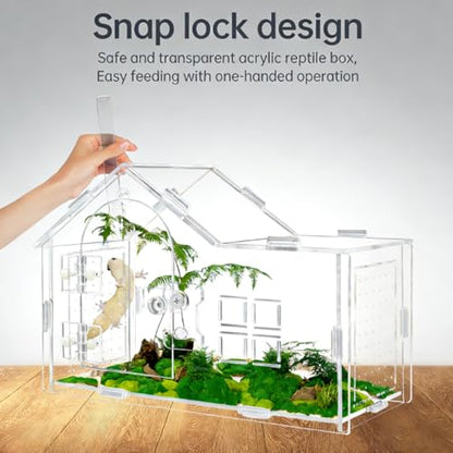 Jumping Spider Enclosure, Acrylic Habitat, 1 Pack | Secure Feeding Port & Ventilation, Ideal Treehouse for Arboreal Spiders, Easy-Clean Terrarium