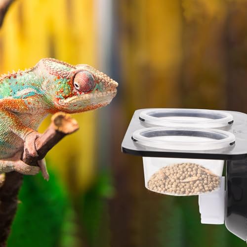 TOYANDONA Reptile Feeder with Suction Cup, Escape-Proof Worm Container and Dual-Compartment Food Bowl, Sturdy Plastic Feeding Dish for Geckos and Lizards, Terrarium Feeding Supplies
