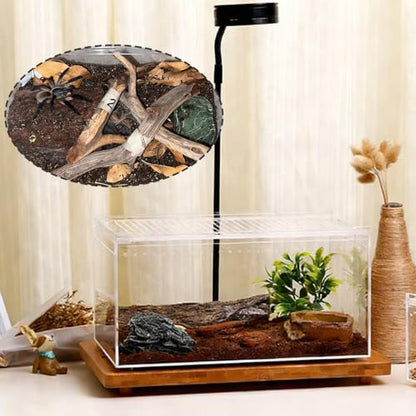 Acrylic Reptile Enclosure, No Assembly Small Reptile Breeding Box for Insect Tarantula Hermit Crab Jumping Spider (12x8x6 in) - size: 12x 8x 6 inch
