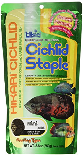 Hikari 8.8-Ounce Cichlid Staple Floating Pellets for Pets, Mini - color: Black, size: 8.8 Ounce (Pack of 1)