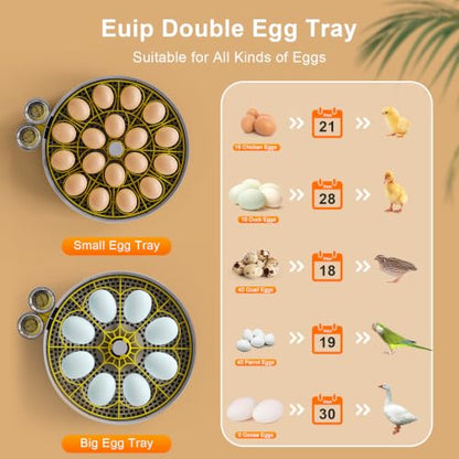 IBKINXX Incubator for Hatching Eggs-18 Egg Capacity, Newly Upgraded Automatic Egg Turner, Temperature & Humidity Control, 360° Viewing for Chicken, Duck and Quail Eggs (Black) | Automatic Temp & Humidity Control, Auto Egg Turning & Built-in Egg Candler fo