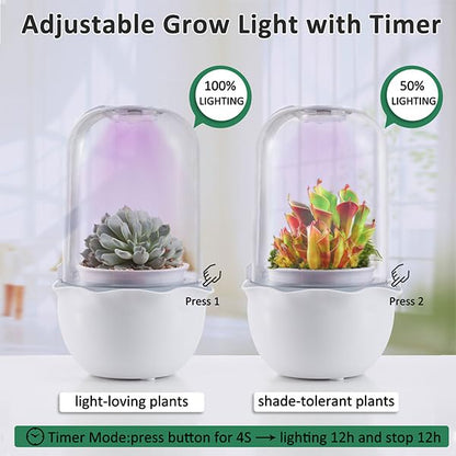 Smart Venus Fly Trap Terrarium Pot with Timer&Fan, Mini Plant Terrarium Kit | Plant Terrarium Kit with Grow Light for Carnivorous,Butterwort,Venus Fly trap,Christmas Gardening Gift for Women Garden Lover