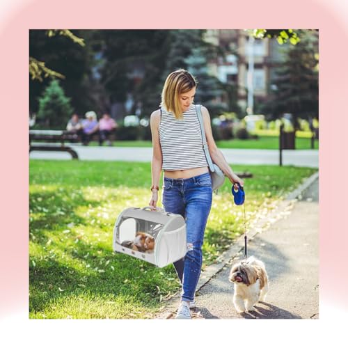 Bearded Dragon Travel Carrier Backpack,Lizard Backpack Carrier,Space Capsule Clear Bubble Window Astronaut Reptile Carrier Backpack for Guinea Pig,Sugar Glider,Bunny (Grey, TPU Carrier+MAT) - color: Grey