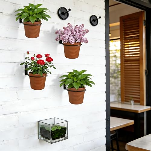 6 Pack 4 Inch Black Plant Pot Holder Ring,Metal Flower Holder Brackets Rings with 12 Screws & 12 Bolts, Potted Planter Brackets for Brick Wall Indoor Outdoor Garden, Patio - size: 4 Inch