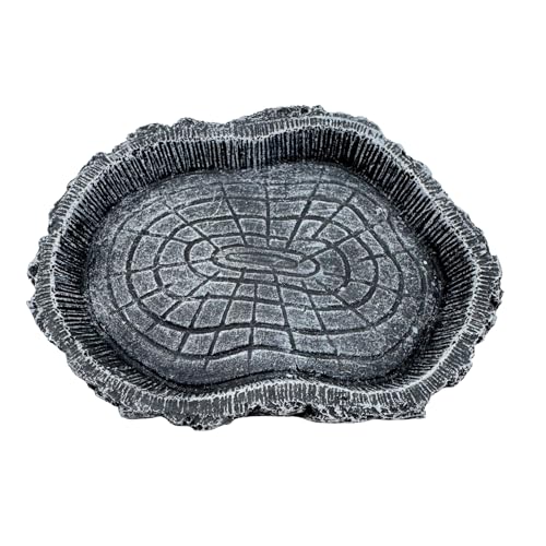 2 Pack Shallow Reptile Food Bowls, Reptile Feeding Terrarium Bowls for Bearded Dragon Lizard Frog Gecko Tortoise Hermit Crab Snail (Black) - color: Black - 2 Pack Shallow Bowls