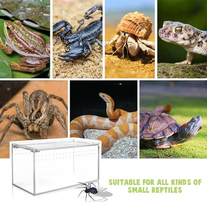 Small Acrylic Tarantula Enclosure Terrarium with Magnetic Button,8 * 4 * 4inch Thicken Isopod Enclosure,Spider Cage,Terrarium for Reptiles,Lizard,Juvenile Tarantulas - size: 8*4*4in