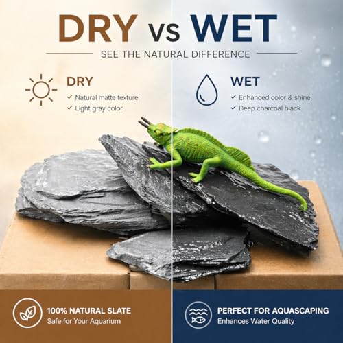 Fish Tank Rock Natural Slate Rocks 2 to 8 inch Aquariums Stone for Aquascaping,Terrariums, Reptile Enclosures,Paludariums,and Gardens-20lb - size: 20lb（2-8'')