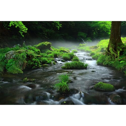 Stream Aquarium Background Aquatic Water Plants Rock Fish Tank Background Lush Green Forest Trees Terrarium Background Misty Foggy Stream Flowing Water Natural Landscape Aquarium Backdrops 24x12in - color: Foggy Green, size: 24(W)x12(H)in