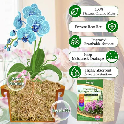 2.2lb Sphagnum Moss for Plants, 40QT Orchid Moss Potting Mix | Long Fiber Sphagnum Moss Dried for Plants Indoor, Orchid Repotting, Succulent, Carnivorous Plants, Terrarium and Reptiles - size: 2.2lb