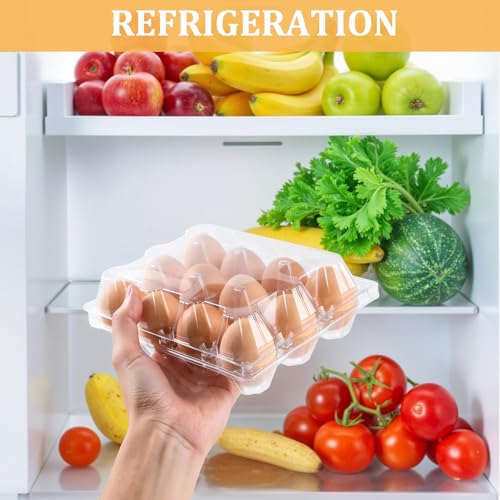 200PCS Plastic Egg Cartons 6 Count, Half Dozen Egg Cartons Cheap Bulk,Clear | Reusable Egg Carton Holder for Family, Pasture, Farm Markets Display - Medium Egg Containers 2x3 Grids - style: 2x3Grids-200count