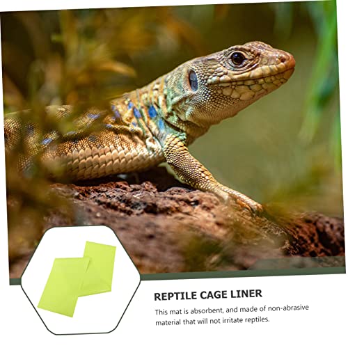 2pcs Reptile Tank Lizard Accessories Mat Substrate Liner for Bearded Dragon Reptile Carpet Mat for 10 Gallon Terrarium