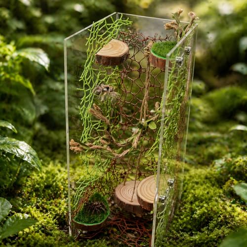 Jumping Spider Habitat Decor, Acrylic Insect Habitat Accessory Set with Magnetic Wooden Platform, Rope Ladder & Climbing Net, Natural Decor for Reptiles