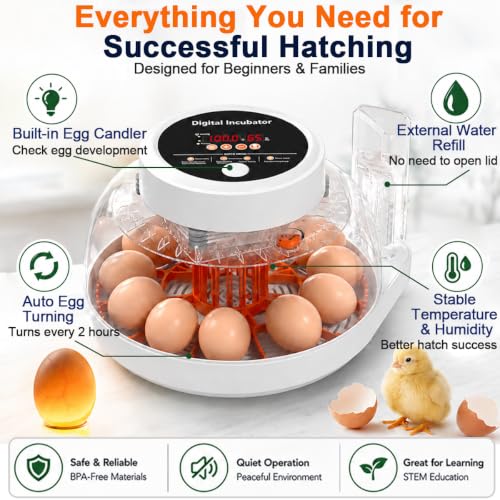 Upgraded Egg Incubator for Hatching Eggs, 12 Egg Capacity with Automatic Egg Turner, Temperature & Humidity Control, LED Egg Candler, Chick Incubator for Chicken, Duck & Quail Eggs - size: 12 EGGS