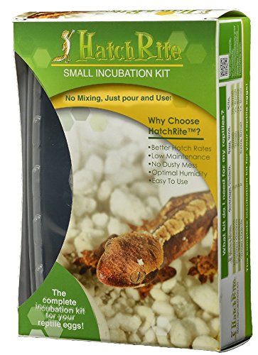 HatchRite Reptile Incubation Kit, Small