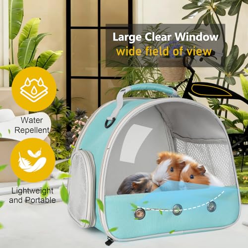 Bearded Dragon Carrier,Lizards Travel Bag, Small Animal Travel Carrier for Hedgehog Rat Parrot Bird, Portable Guinea Pig Travel Carrier for 2 - color: Green