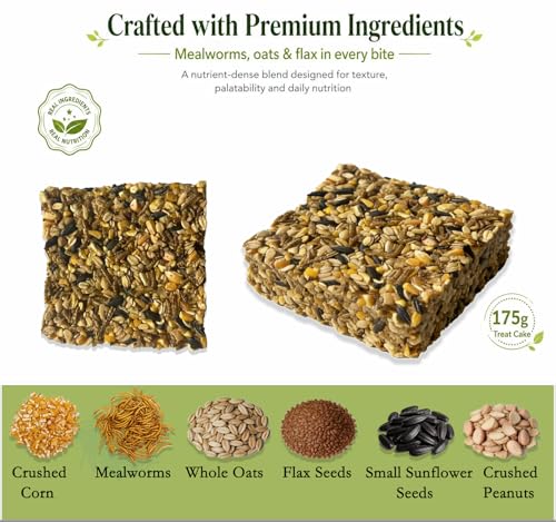 2LB Dried Mealworms with 175g Pecking Treat Cake for Chickens | Ducks & Wild Birds - High Protein Natural Poultry Treats