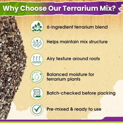 6-in-1 Terrarium Soil Mix, Pre-Mixed & Ready to Use, 8QT | Terrarium Substrate Mix with Coco Coir, Peat Moss, Pine Bark, Perlite, Pumice & Zeolite for Balanced Moisture & Airflow