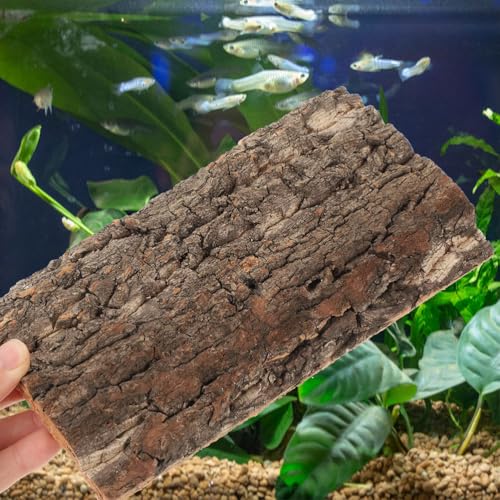 Kisangel Cork Bark Aquarium Decor 4Pcs Terrarium Bark Background Natural Reptile Tank Accessory Reusable Cuttable Cork for Fish Tank Background for Aquarium