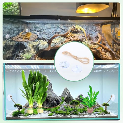 10pcs Reptile Hammock Suction Cups – 5 with Hooks, 5 with Rings, and 5 Hemp Ropes – Strong Hold for Terrarium Hanging Setup