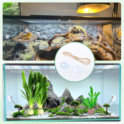 10pcs Reptile Hammock Suction Cups – 5 with Hooks, 5 with Rings, and 5 Hemp Ropes – Strong Hold for Terrarium Hanging Setup
