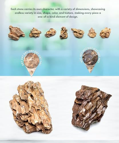Natural Stone for Aquarium, Terrarium, Paludarium, Reptile Enclosures - Set of Decorative Rocks for Landcapes, Aquascaping, Fish Tank Decor (Dragon Stone, 5 Pounds)