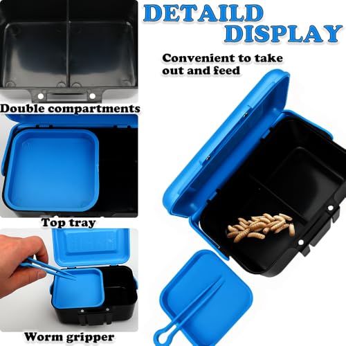 Small Size Mealworms Breeding Box Mealworms Feeding Kit to Breed Live Worms for Small Reptile Spider Manti Insects (Blue)