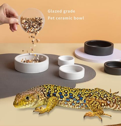 OMEM 2 Pack Black Ceramic Reptile Food and Water Dish Anti Escape Bowl for Bearded Dragons, Lizards, Geckos and Leopards (Large) - size: Large