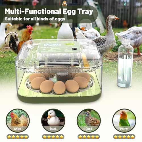 12 Egg Incubator with Automatic Egg Turning and Humidity Control, LED Egg Candling Light, Customized Incubation Days, Incubators for Hatching Eggs, Chicken Quail Parrot Pigeon Birds, Green - size: 12 eggs