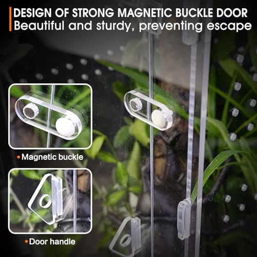 Acrylic Jumping Spider Enclosure - Insect Terrarium for Spiders, Mantises, Tarantulas & Frogs - size: Large